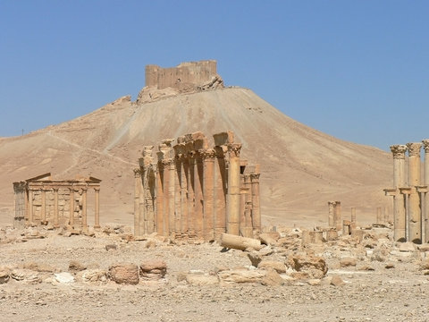 Palmyra