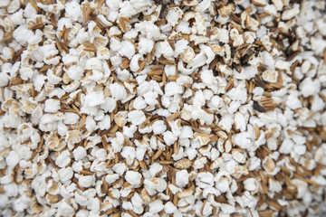 thai rice popcorn