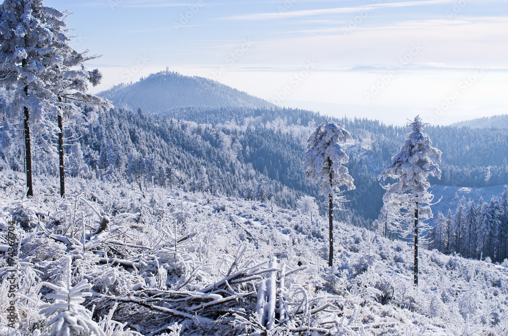 Wall mural Winter landscape in the hills