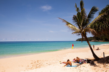 palm and a white sand beach.
