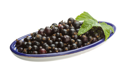 Black currant