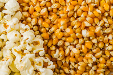 Pile of Popcorn and Ripe Corn, Texture and Background