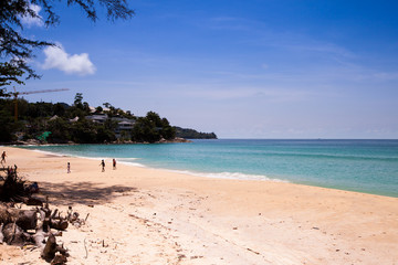 Fototapeta na wymiar palm and a white sand beach.