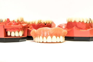Dental dentures isolated on white