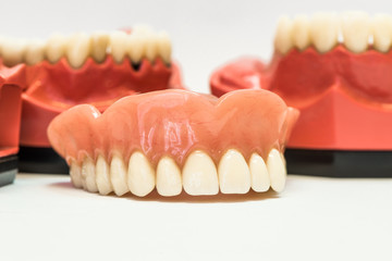 Dental dentures isolated on white