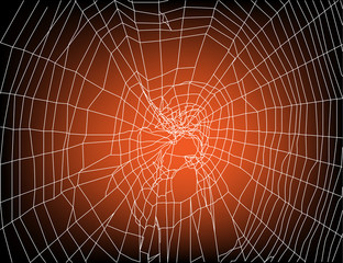 white spider web on sunset background