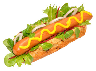 A Single Hot Dog