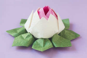 Origami Lily © MissesJones