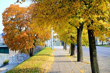 Fototapeta premium Neris river board. Autumn time in Vilnius