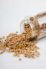 Soybean in a jar with lid off