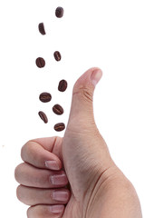 Coffee beans fall in the hands of isolated on white.