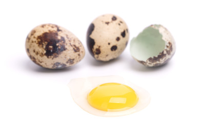 quail eggs