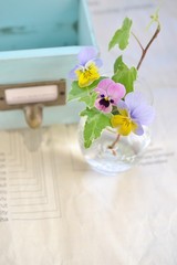 ビオラの花あしらい