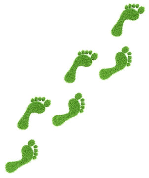 Grass footprints