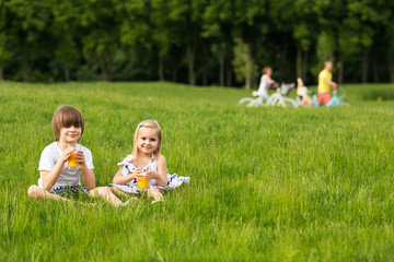 Fototapeta premium Brother and sister on picnic