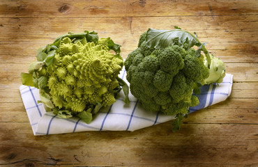 Blomkål Brassica oleracea Květák Cauliflower Expo Milan 2015