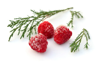 raspberries in the frost