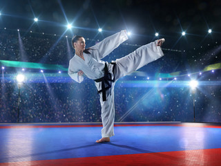 Fototapeta na wymiar Professional female karate fighter