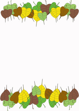 pipal leaf