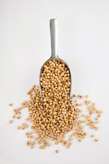 Soybeans and  transfer scoop