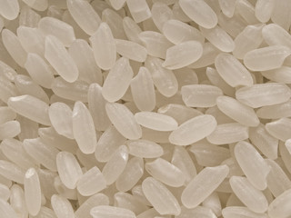 short grain japanese calrose rice food background