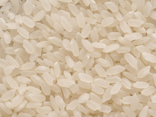 short grain japanese calrose rice food background