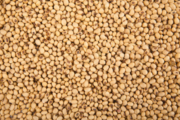 Soybean as background