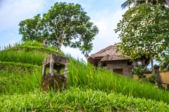 view of countryside in bali, near ubud