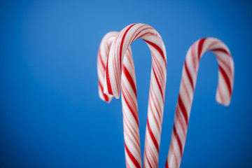 White and red peppermint candy canes in bucket