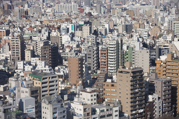 Obraz premium 東京の展望