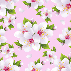 Plakaty  Piękny bezszwowy wzór różowy z kwiatem sakury