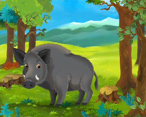 Cartoon animal scene - boar - illustration for the children