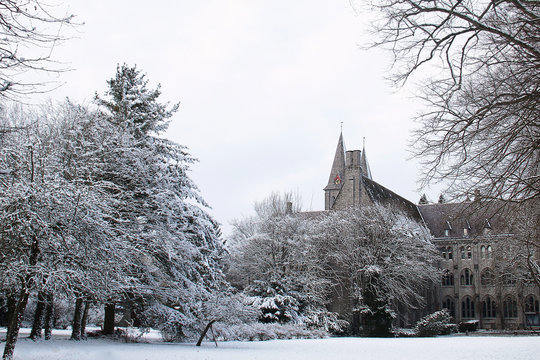 paysage neige