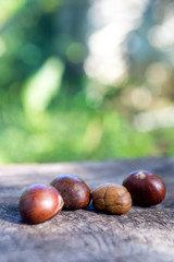 roasted chestnuts on wood