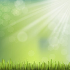 Obraz premium close-up look at natural grass background