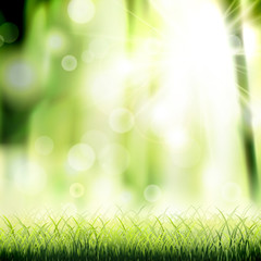 Fototapeta na wymiar close-up look at natural grass background