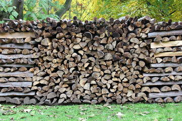 log pile in the forest, autumn background