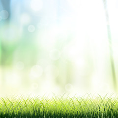 Fototapeta na wymiar close-up look at natural grass background