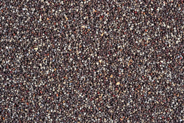 Poppy seeds background