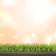 Obraz premium close-up look at natural grass background