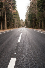 Highway through autumn forest