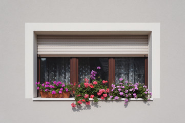 Fototapeta na wymiar Modernisiertes Fenster mit Blumenschmuck in hellgrauer Fassade