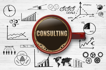 Consulting / Service / Know How