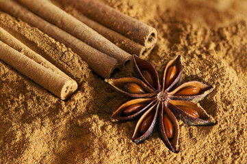 Cinnamon sticks, ground cinnamon and  star anise
