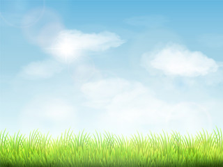 Fototapeta na wymiar blue sky and field of green grass