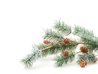 Christmas decoration