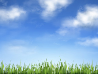Fototapeta na wymiar blue sky and field of green grass
