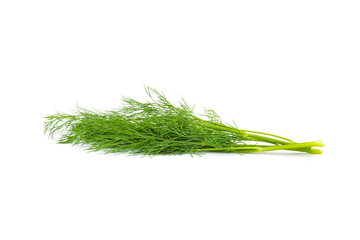 Fresh dill