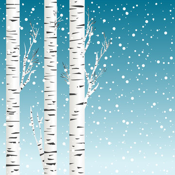 Winter background with birch trees and snowflakes © hibrida