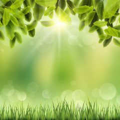 close-up look at natural grass background